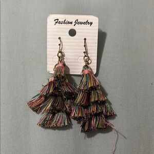 Multicolor Tassel Earrings